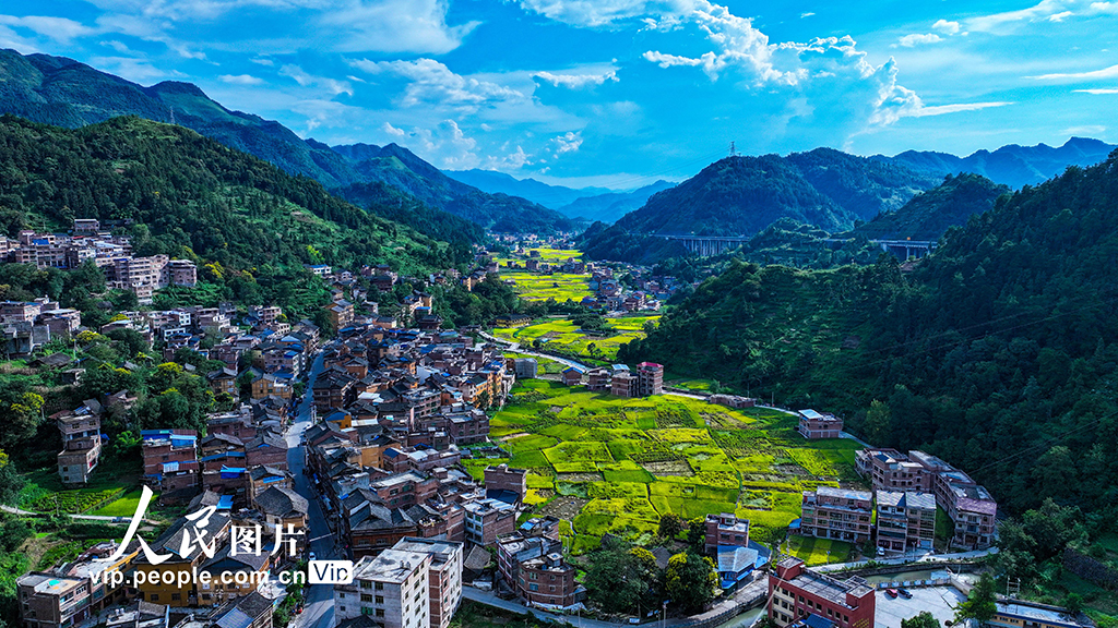 貴州三穗:鄉村好“豐”景【2】