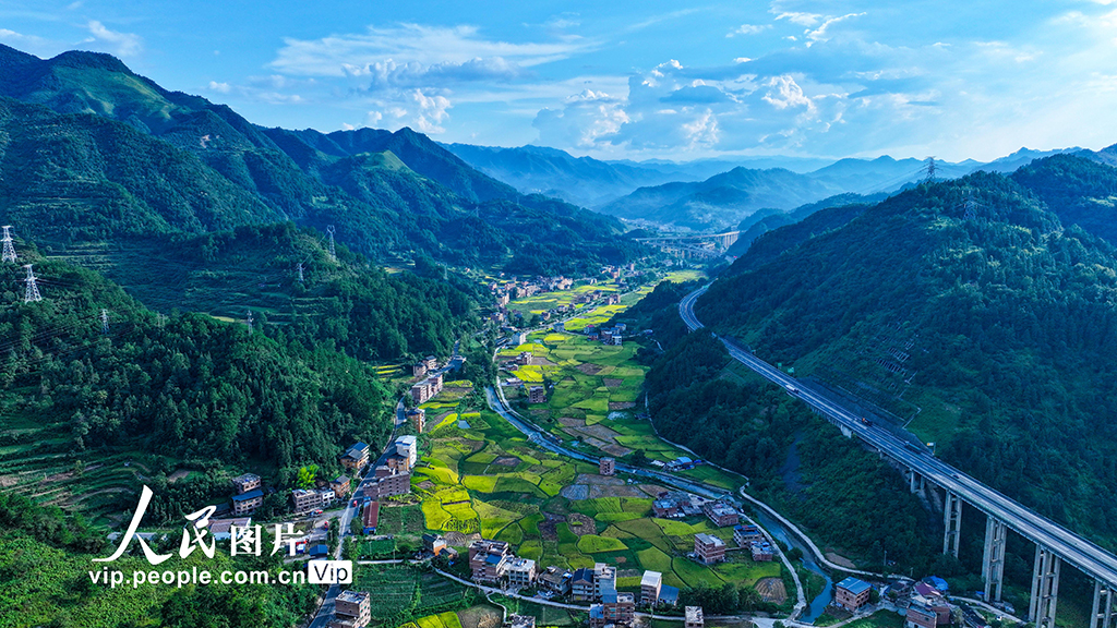 貴州三穗:鄉村好“豐”景【4】