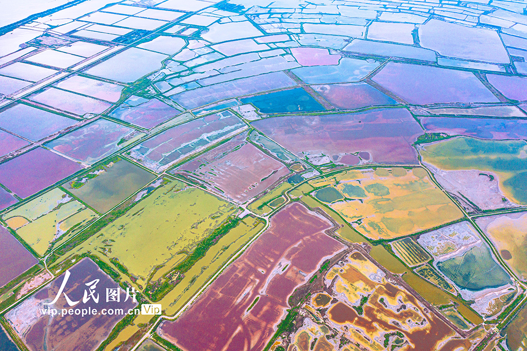 山西運城:鹽湖色彩斑斕【4】