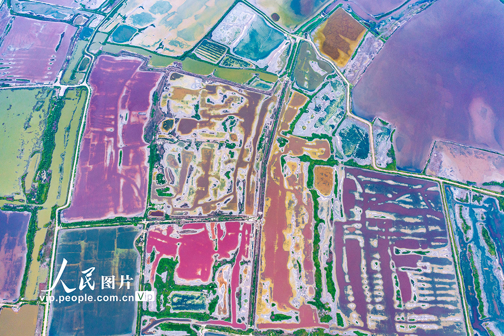 山西運城:鹽湖色彩斑斕【5】