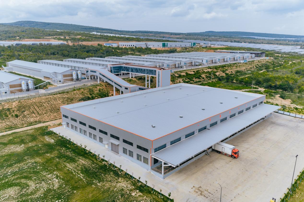 俯瞰永壽縣蛋品一號科技產業園。