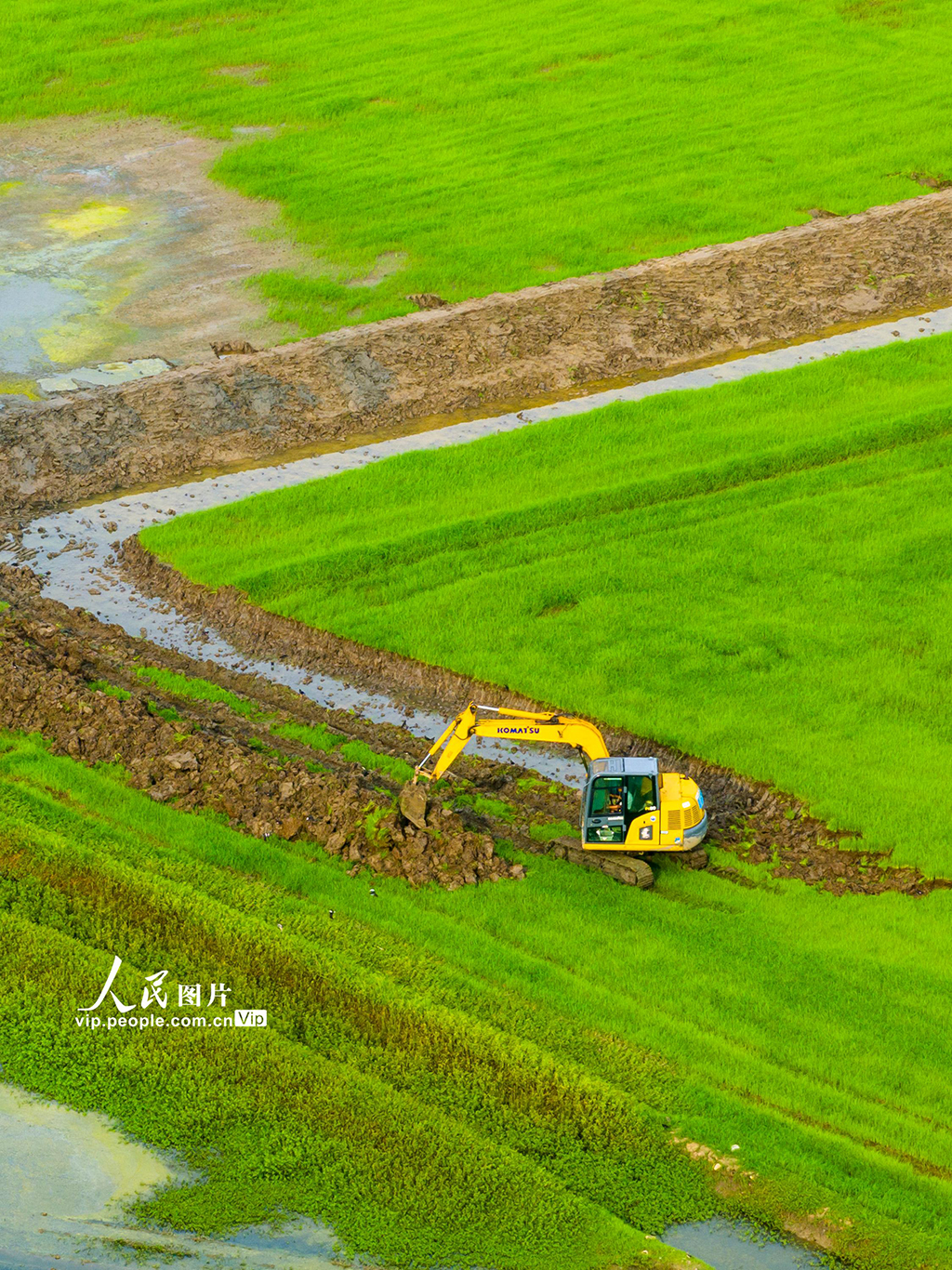 安徽蕪湖:興修水利助力糧田提質增效【3】