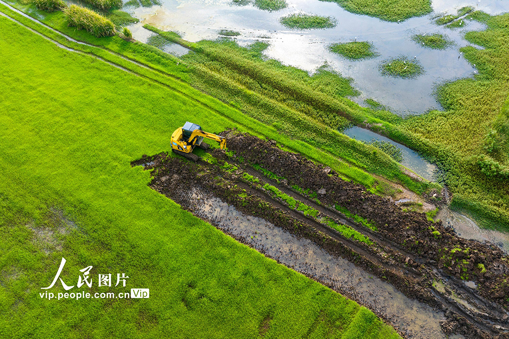 安徽蕪湖：興修水利助力糧田提質增效【4】