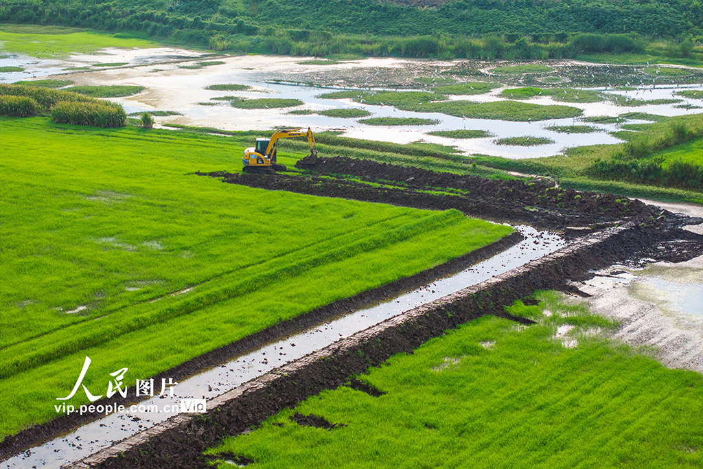 安徽蕪湖：興修水利助力糧田提質增效【5】