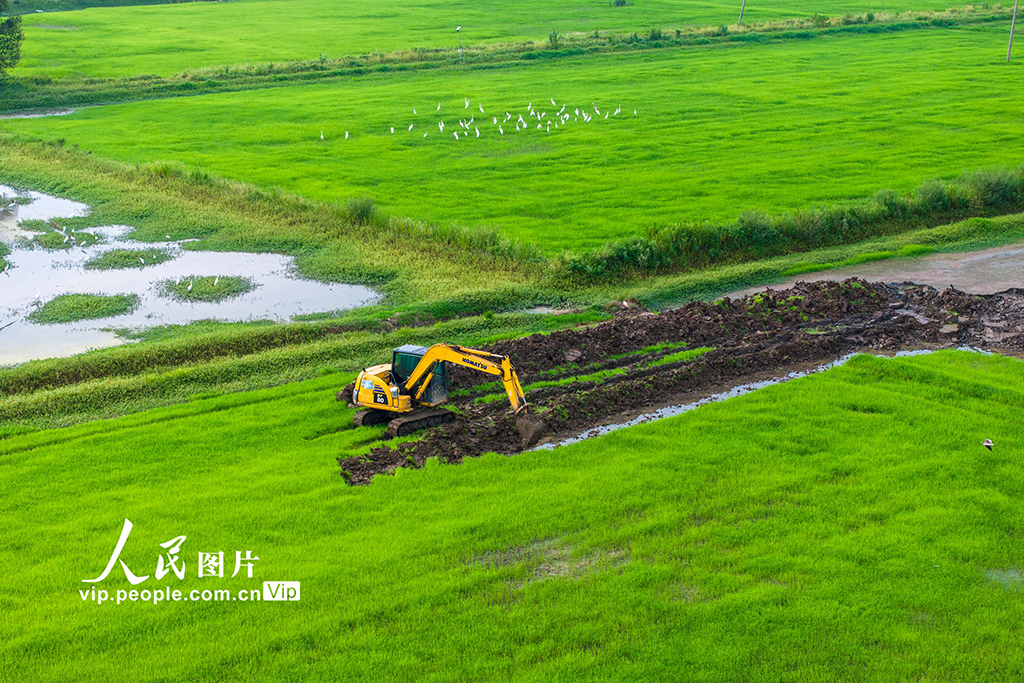 安徽蕪湖：興修水利助力糧田提質增效【6】