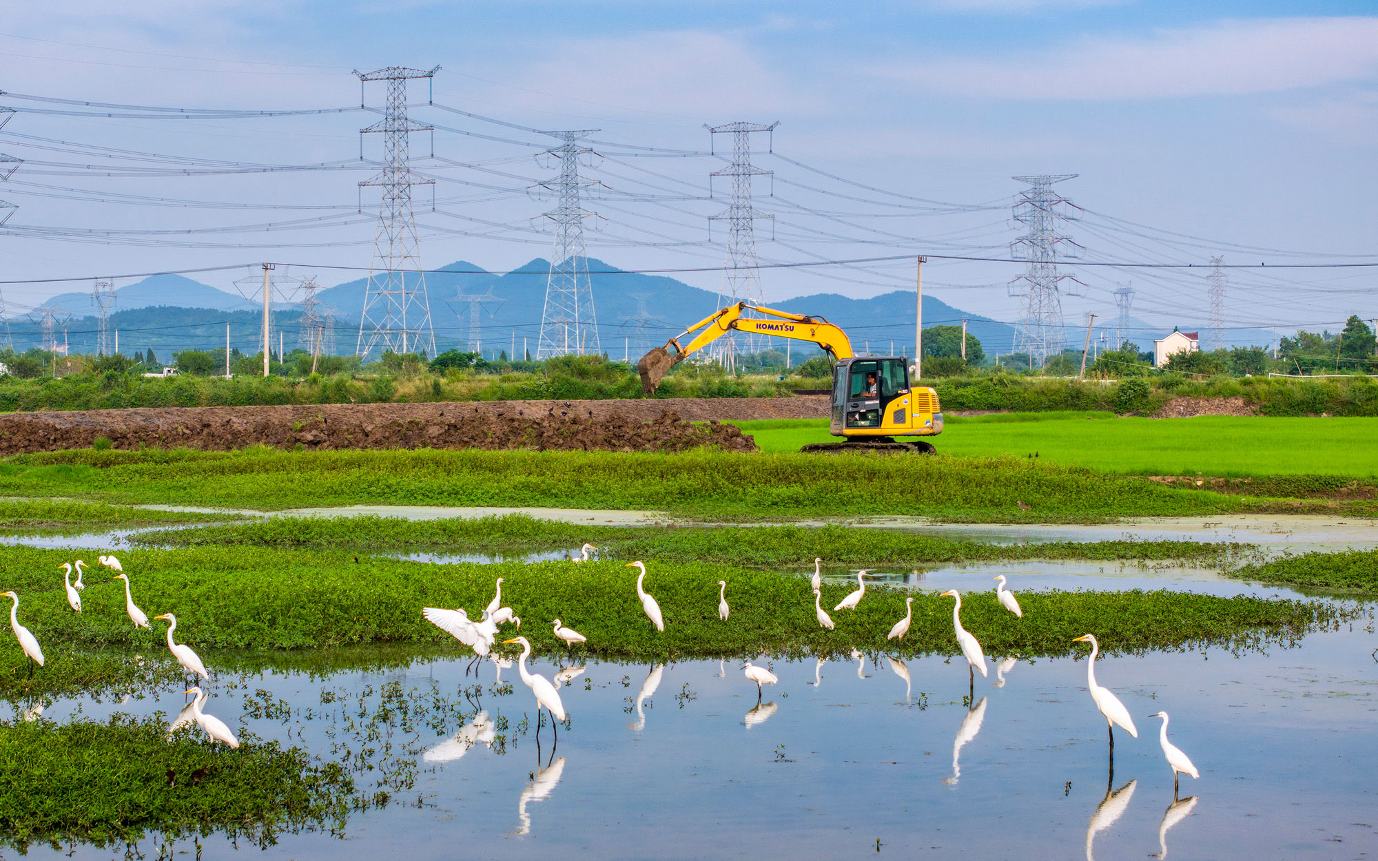 興修水利助力糧田提質增效