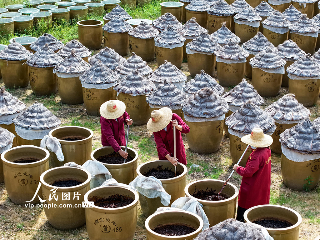 湖北英山：小醬菜 大產業【4】
