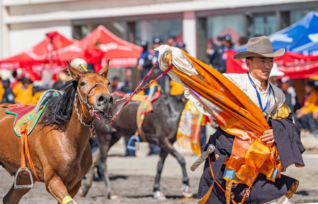 9月6日，馬主在比賽結束后領回自家馬匹。新華社記者 丁增尼達 攝