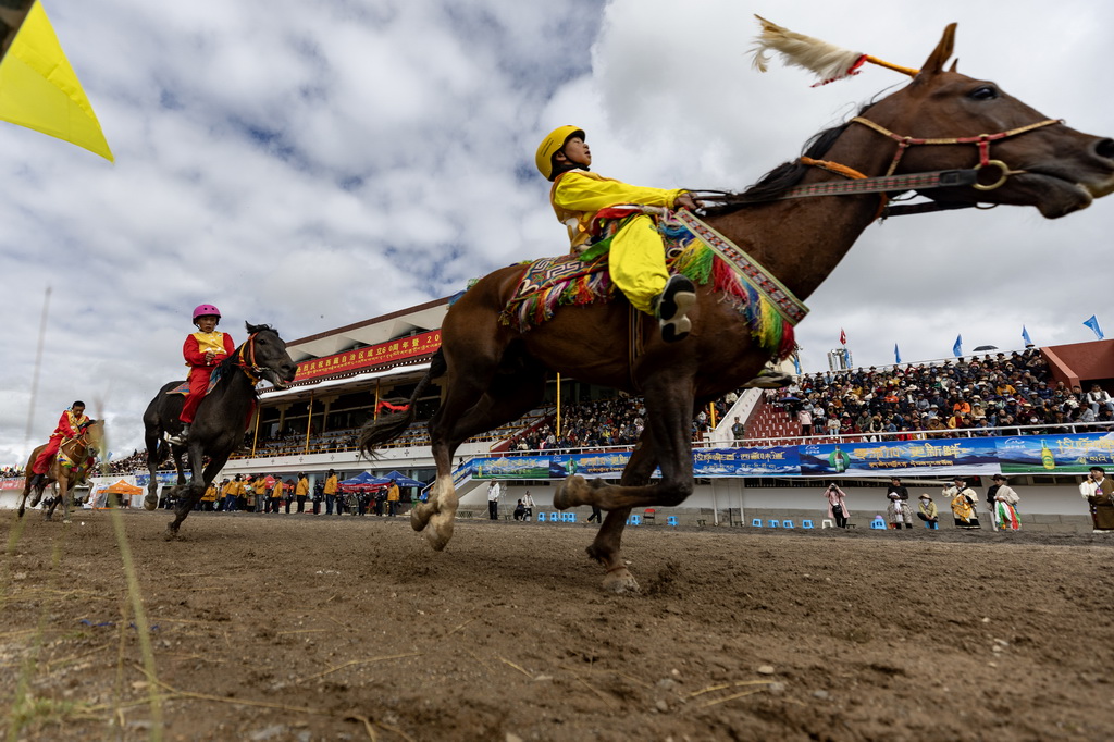 9月6日，騎手們在走馬12000米項目中馳騁。新華社記者 姜帆 攝