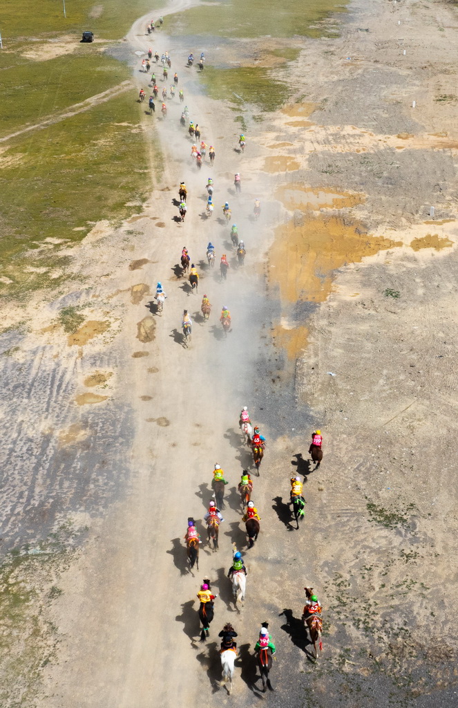 9月7日，騎手們在傳統大跑項目中馳騁（無人機照片）。新華社記者 丁增尼達 攝
