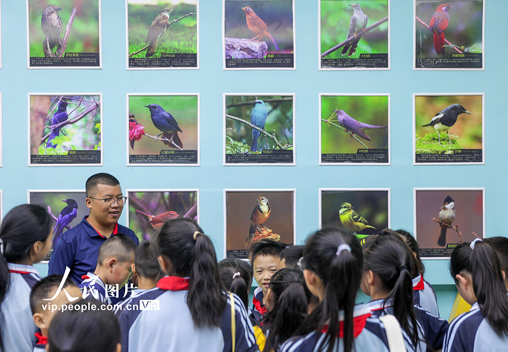 貴州綏陽：第二屆布谷鳥杯觀鳥科普賽開幕【3】