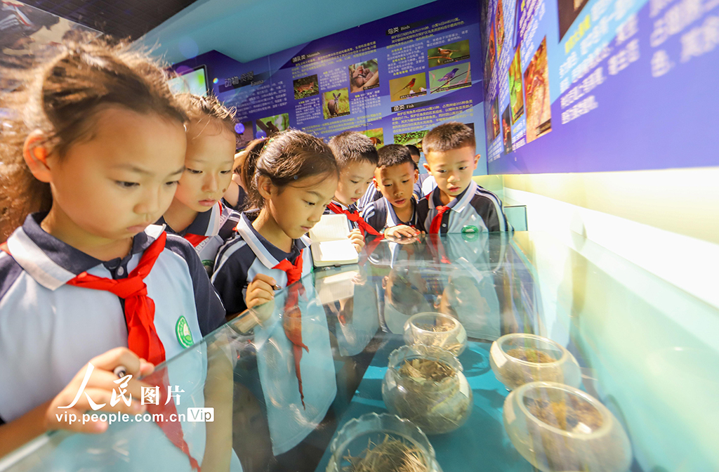 貴州綏陽:第二屆布谷鳥杯觀鳥科普賽開幕【4】