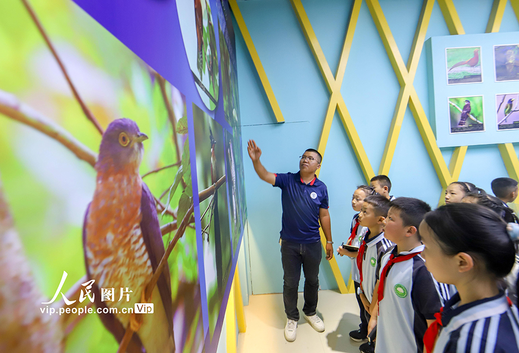 貴州綏陽:第二屆布谷鳥杯觀鳥科普賽開幕【5】