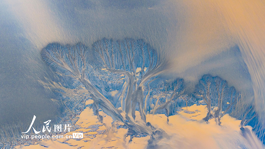 錢塘江現“潮汐樹”景觀【5】