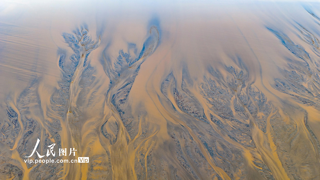 錢塘江現“潮汐樹”景觀【2】