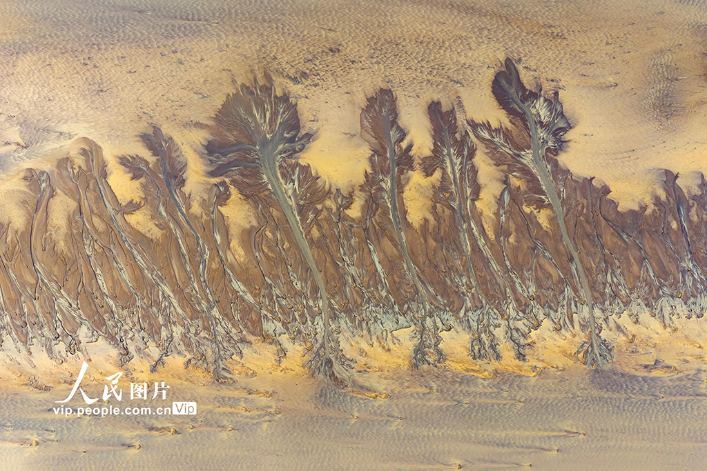 錢塘江現“潮汐樹”景觀【3】