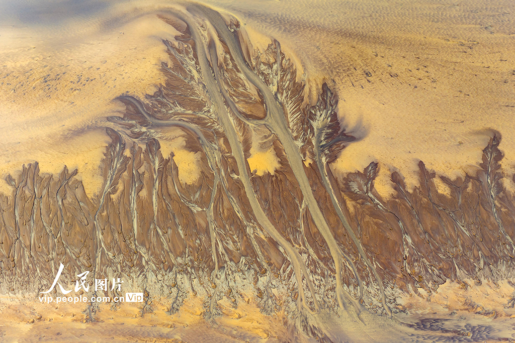 錢塘江現“潮汐樹”景觀【6】