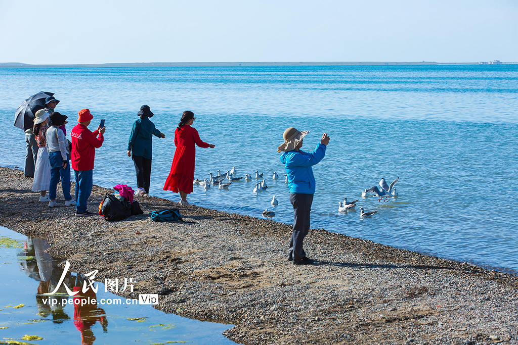 青海湖美景引客來【8】