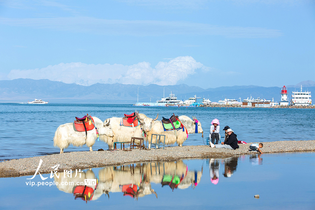 青海湖美景引客來【9】