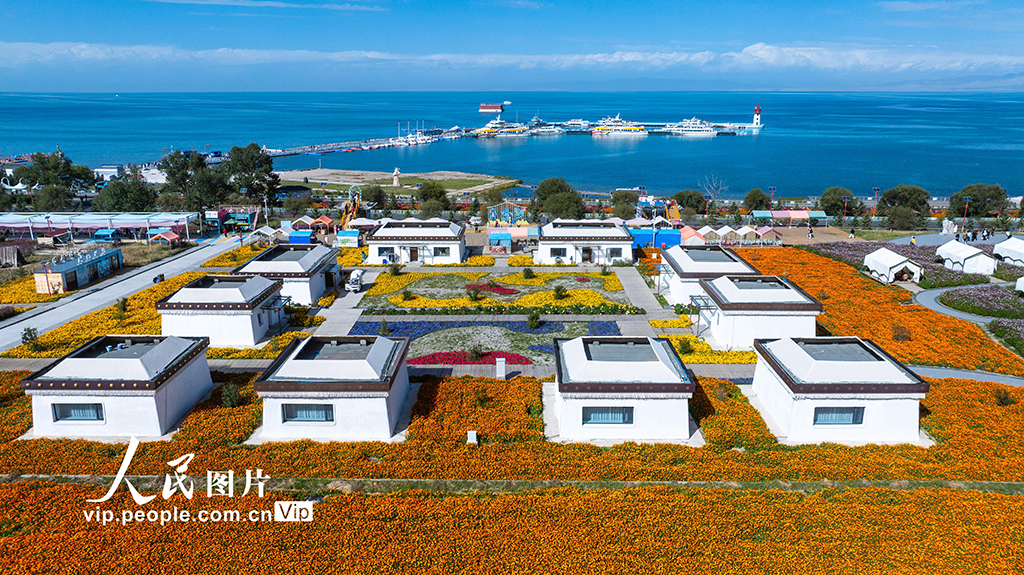 青海湖美景引客來【4】