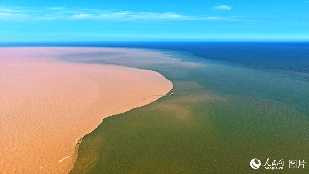 在山東東營黃河入?？?，渾濁的黃河水與碧藍的海水在此相擁，繪就“黃藍交匯”的自然奇觀。作為黃河流域生態系統的重要組成部分，黃河三角洲國家級自然保護區不僅承載著獨特的河口濕地景觀，更發揮著關鍵的生物多樣性維護和濱海灘涂修復功能。近年來，東營市加大生態修復力度，通過實施退耕還濕、濕地補水等一系列措施，持續改善河口生態環境。如今，這里已成為眾多珍稀鳥類的重要棲息地，實現了生態保護與區域發展的協調統一。人民網記者 劉祺 攝