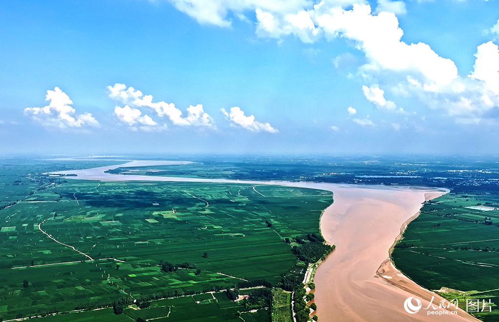 7月24日，黃河河南封丘段。作為黃河下游重要的生態廊道，近年來，封丘縣在筑牢防汛安全屏障的同時，大力實施植被恢復、水土保持等生態工程，黃河封丘段56公里的黃河沿岸已形成1.2萬畝生態林帶，林木覆蓋率較十年前提升了18%。人民網記者 王玉興攝