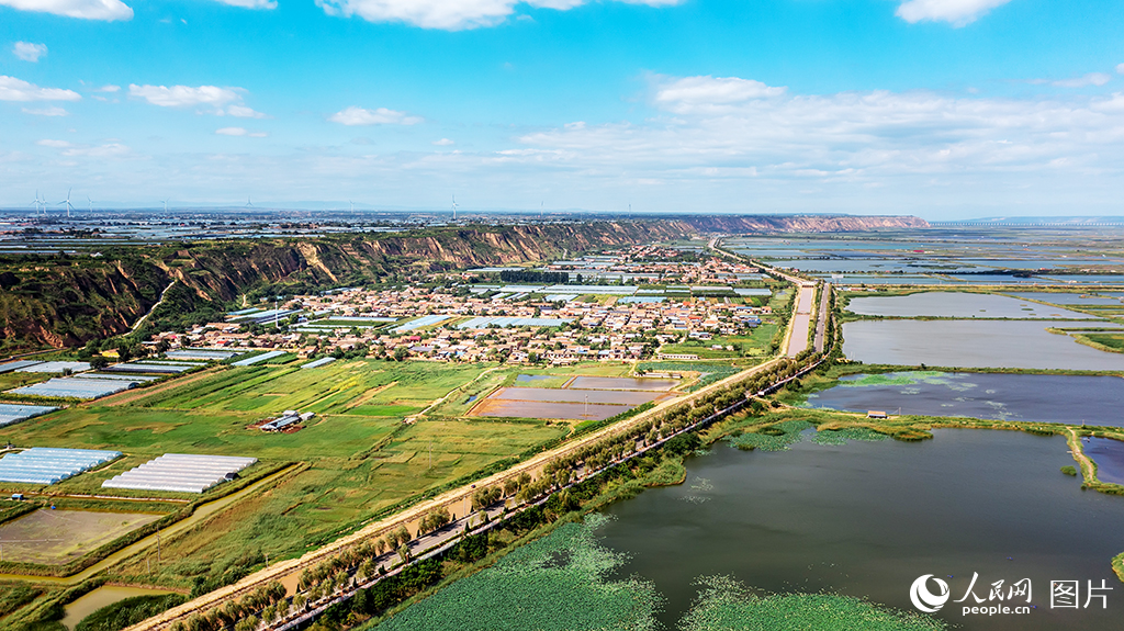 被譽為“多彩漁村”的陜西省渭南市大荔縣范家鎮華原村，地處黃河濕地核心區，毗鄰沿黃公路 。村落依托十萬畝濕地資源，形成漁業養殖、蓮藕種植與鄉村旅游融合的產業格局， 從傳統漁村轉型為集生態觀光、文化體驗、農業產業于一體的“童話漁村”，是渭北地區極具吸引力的鄉村旅游目的地，也是陜西鄉村振興與文旅融合的典范之一。人民網記者 李志強攝