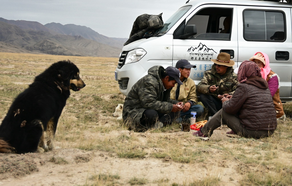 9月9日，在青海省海西蒙古族藏族自治州都蘭縣，牧民龍宮一家人在轉場休息時吃午飯。