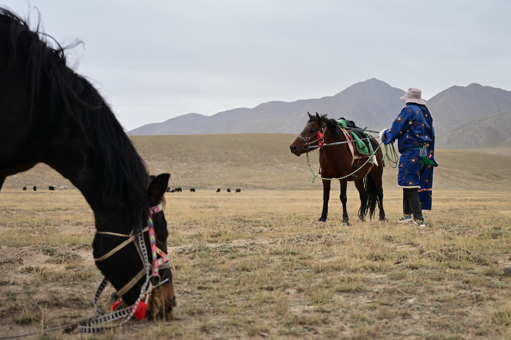 9月9日，在青海省海西蒙古族藏族自治州都蘭縣，一名牧民在轉場途中。