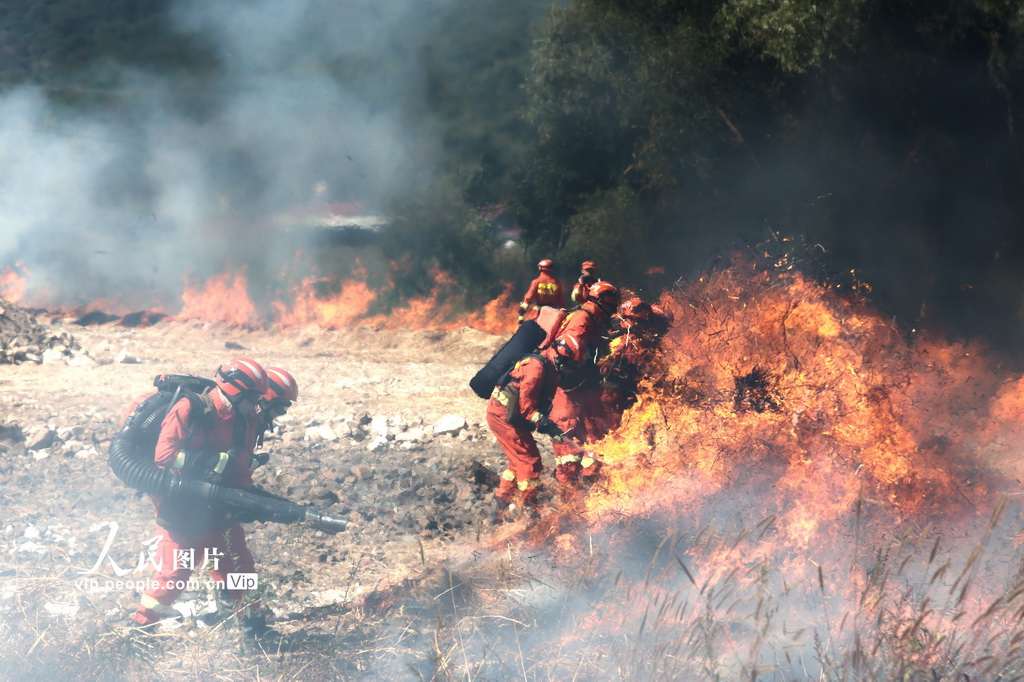 9月11日，黑龍江省森林消防總隊哈爾濱市支隊在進行分隊滅火戰斗訓練。