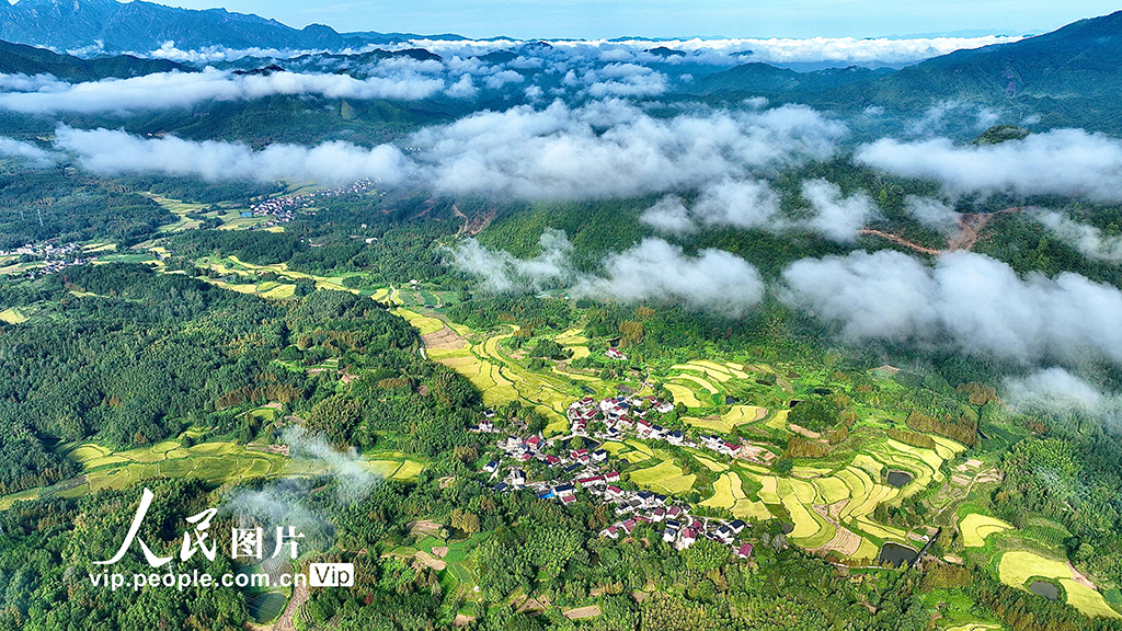 安徽宣城:秋日田園美如畫【2】