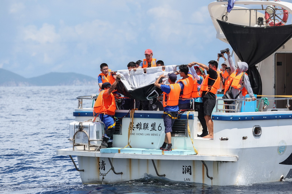 9月14日，在海南萬寧一處海域，救助人員準備放歸海豚“萬萬”。