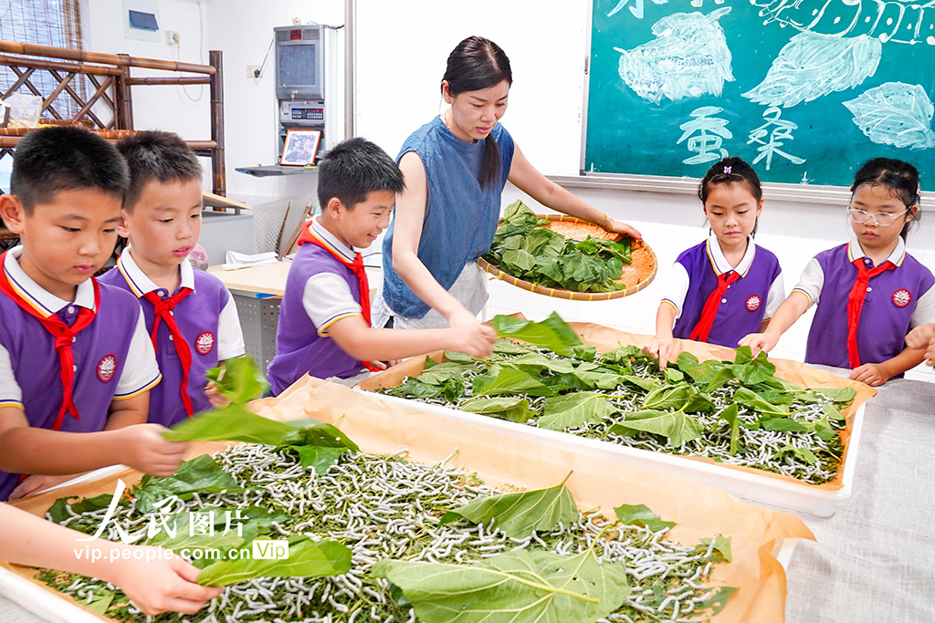 浙江安吉：桑蠶文化進校園