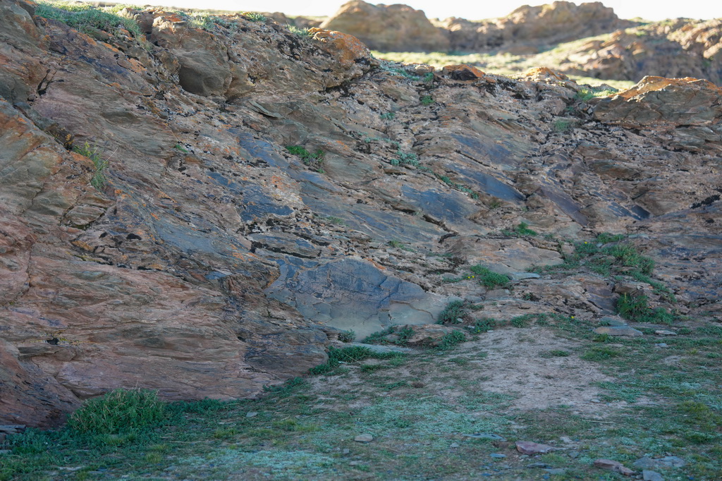 7月25日拍攝的“尕日塘秦刻石”。新華社記者 杜笑微 攝