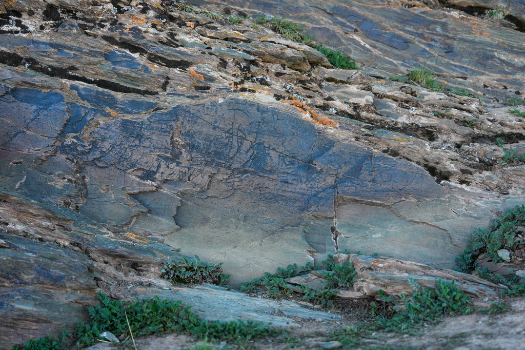  7月25日拍攝的“尕日塘秦刻石”。新華社記者 杜笑微 攝