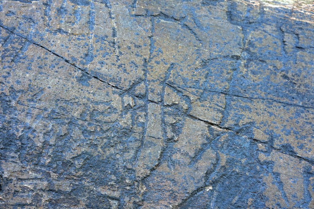 7月25日拍攝的“尕日塘秦刻石”。新華社記者 杜笑微 攝