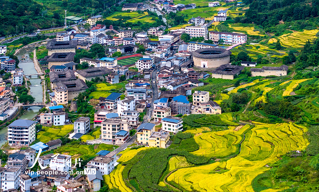 福建龍巖:永定土樓景美如畫【4】