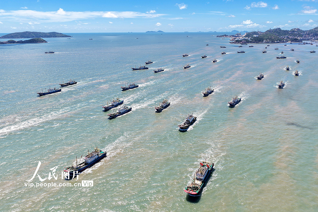 浙江臺州:東海告別伏休全面開捕【3】