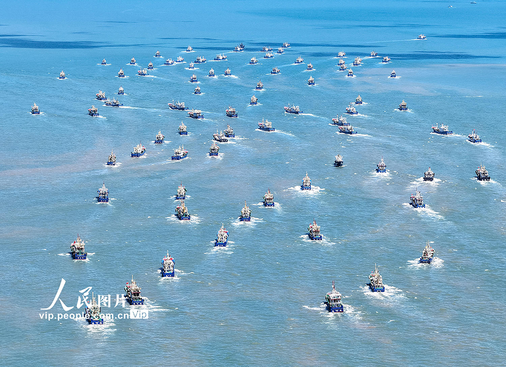 浙江臺州:東海告別伏休全面開捕【5】