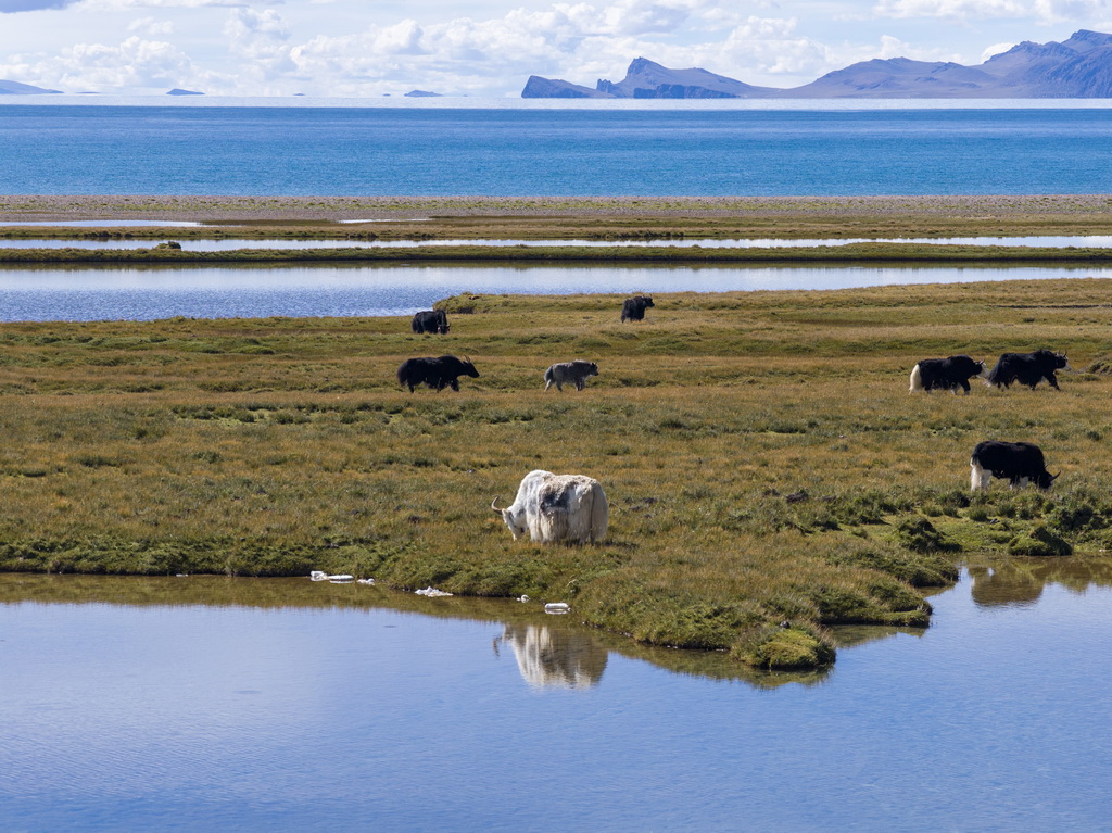 納木錯湖邊景色（無人機照片，9月16日攝）。