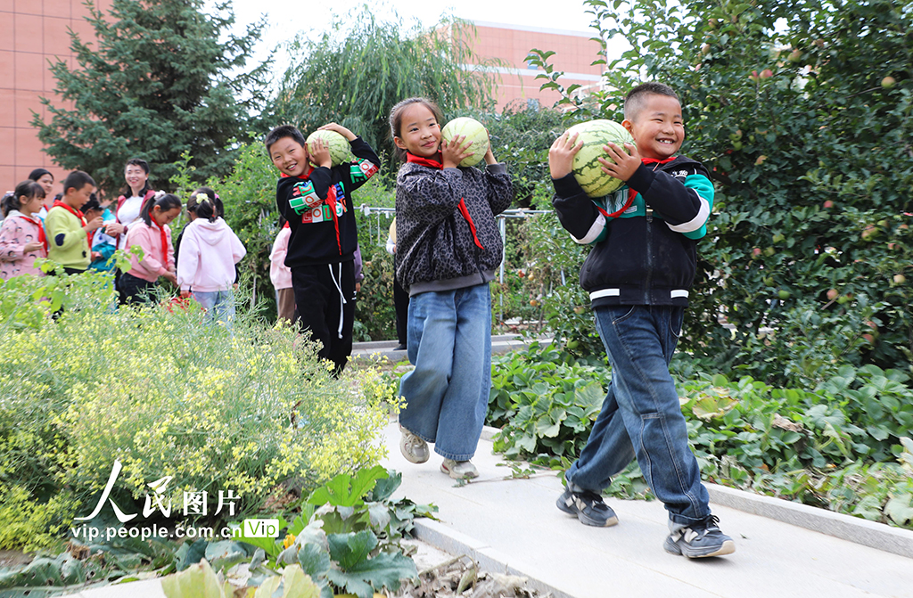 甘肅民樂:校園“豐收節”【6】