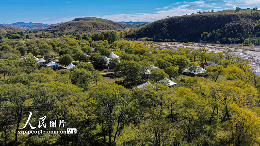 河北豐寧:壩上秋日如畫【3】