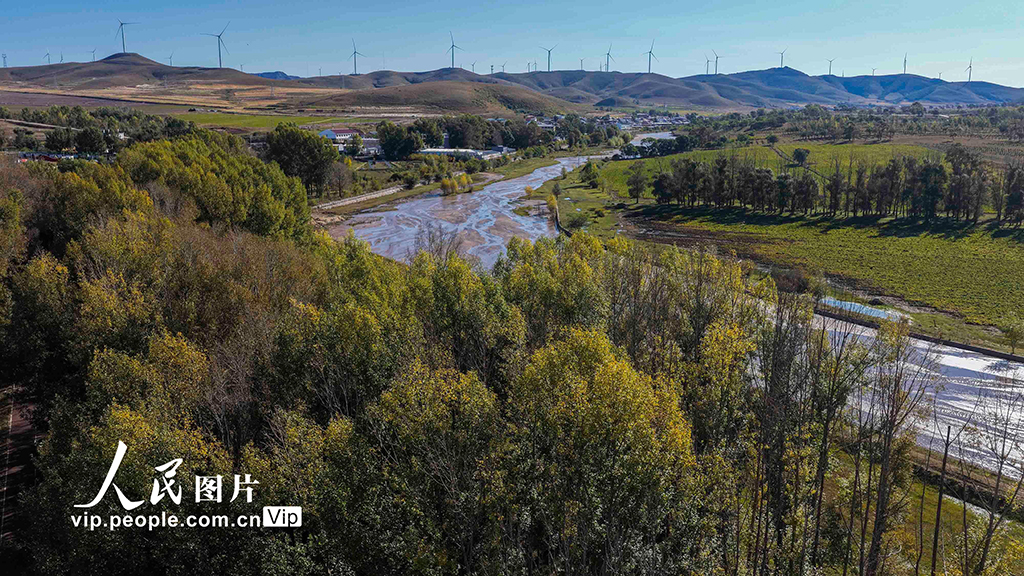 河北豐寧:壩上秋日如畫【2】
