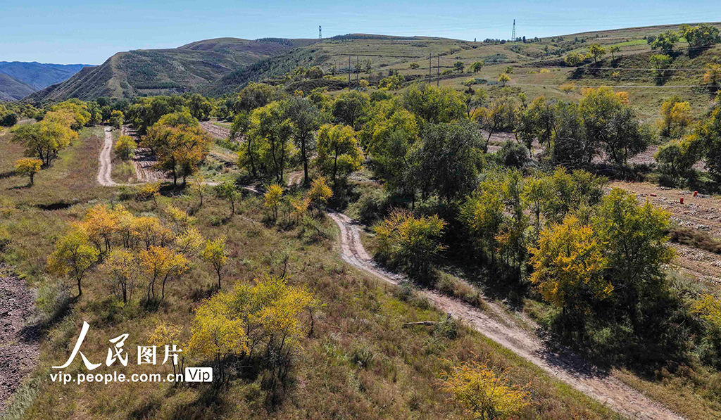 河北豐寧:壩上秋日如畫【4】