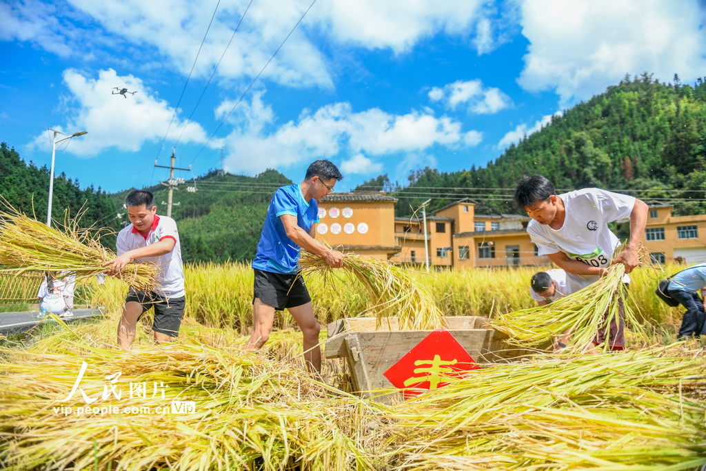 貴州冊亨：多彩活動慶豐收
