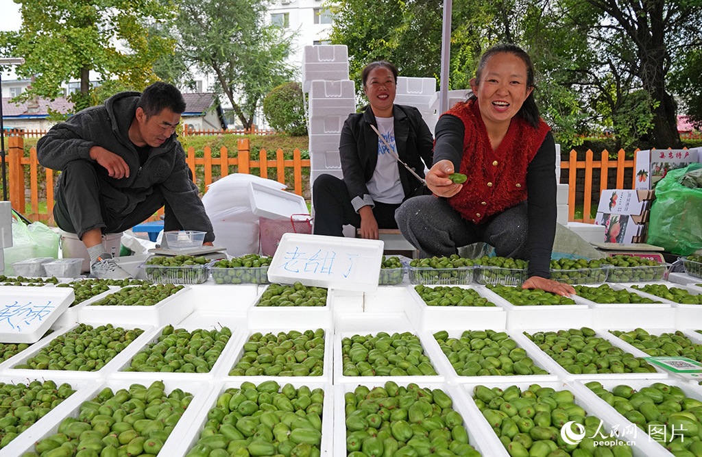 9月17日，集安市涼水朝鮮族鄉的李秀芳和家人早早就來到了集安的早市里擺攤。今年，她家里種植的軟棗獼猴桃迎來大豐收，一顆顆果實軟糯香甜，十分誘人。每當遇到好奇的顧客，李秀芳總是十分熱情：“來！給你嘗一個，自己家種的，老甜了！”人民網記者 李洋攝