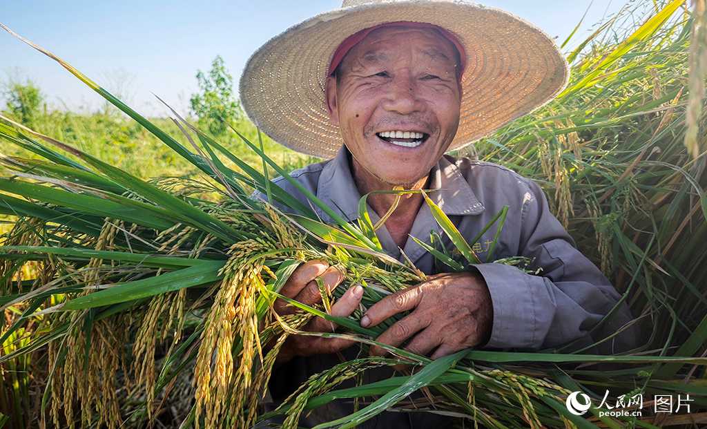 9月16日，湖北省荊州市兩縣街村村民展示豐收成果。人民網記者 王郭驥攝