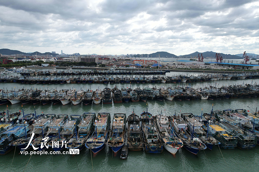 福建廈門：漁船進港人員上岸 應對臺風“樺加沙”【3】