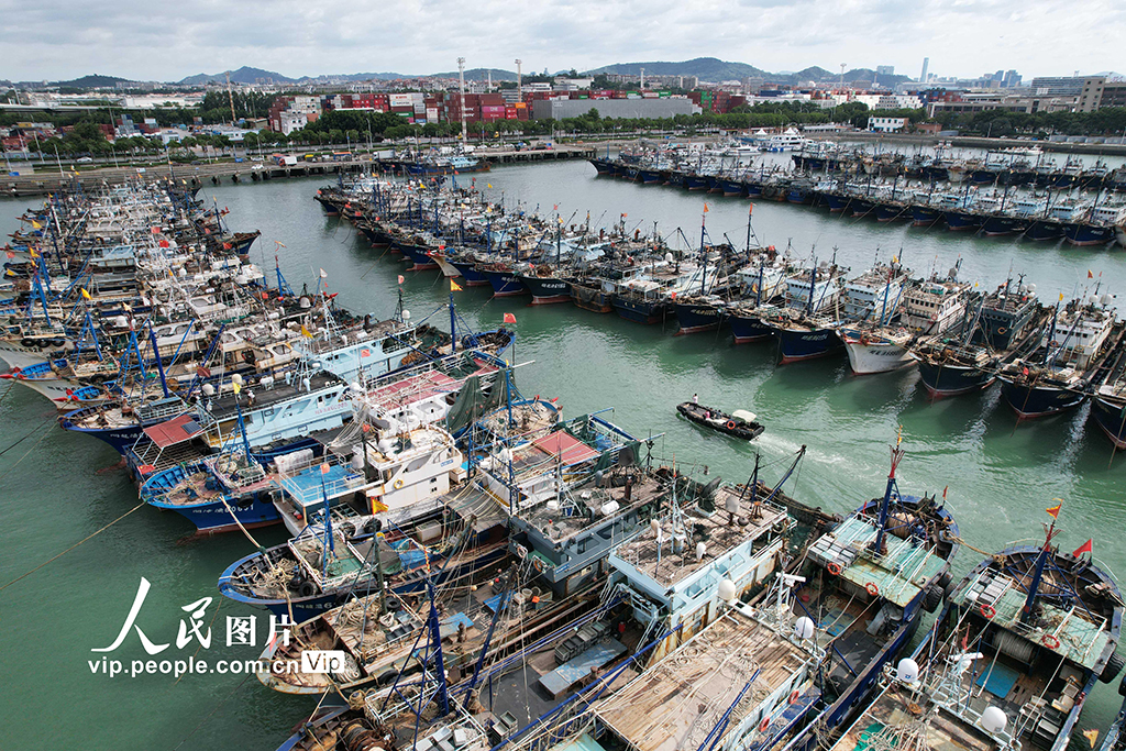 福建廈門：漁船進港人員上岸 應對臺風“樺加沙”【5】