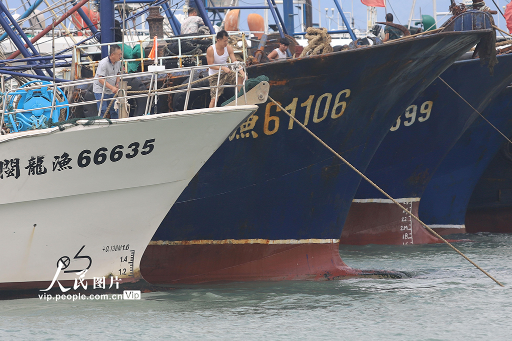 福建廈門：漁船進港人員上岸 應對臺風“樺加沙”【6】